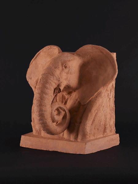 Tête d'éléphant, Maurice Prost, 20e siècle