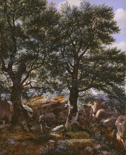 Vue dans la forêt de Fontainebleau avec personnage, Giuseppe Canella, 1828