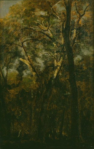 Bas Bréau (Fontainebleau)_0