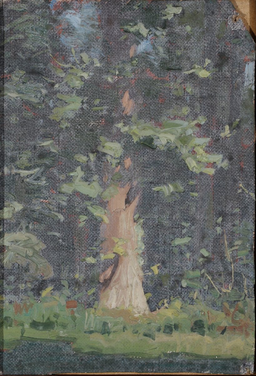 Arbre, Maurice Joron, 1902 (c)