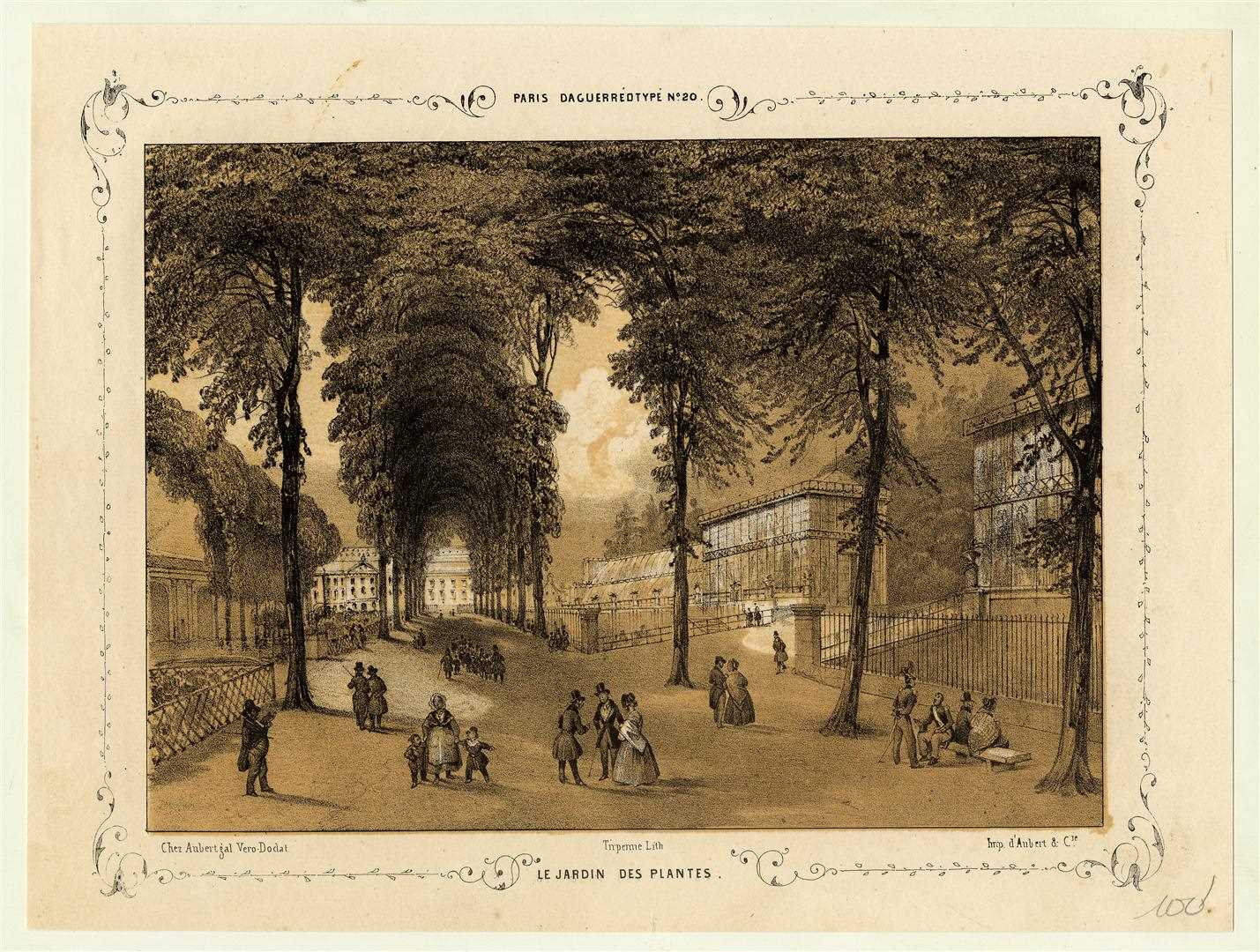 Le jardin des Plantes ; Paris et ses environs reproduits par le daguerréotype — Jean Louis Tirpenne