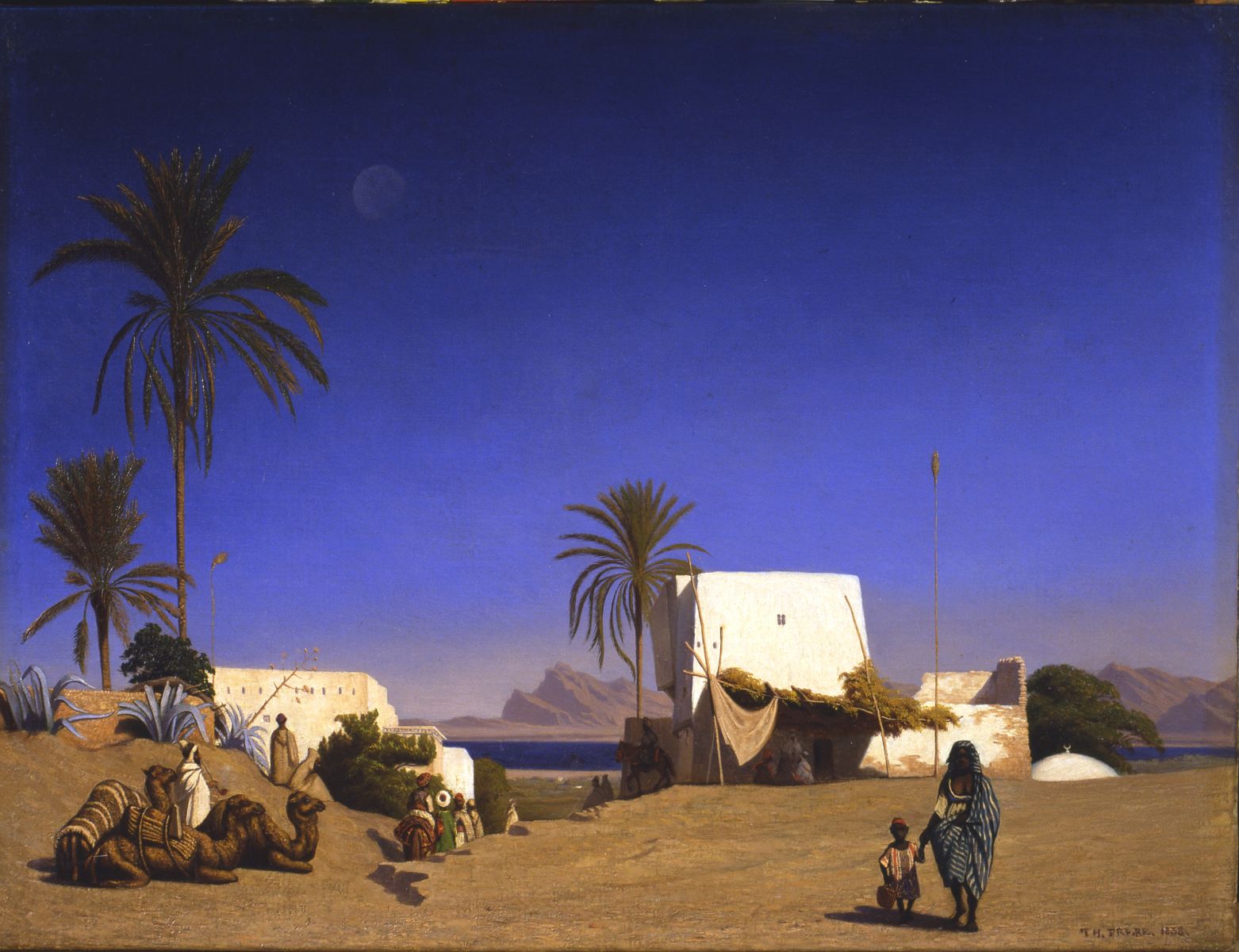 Paysage d'Algérie_0