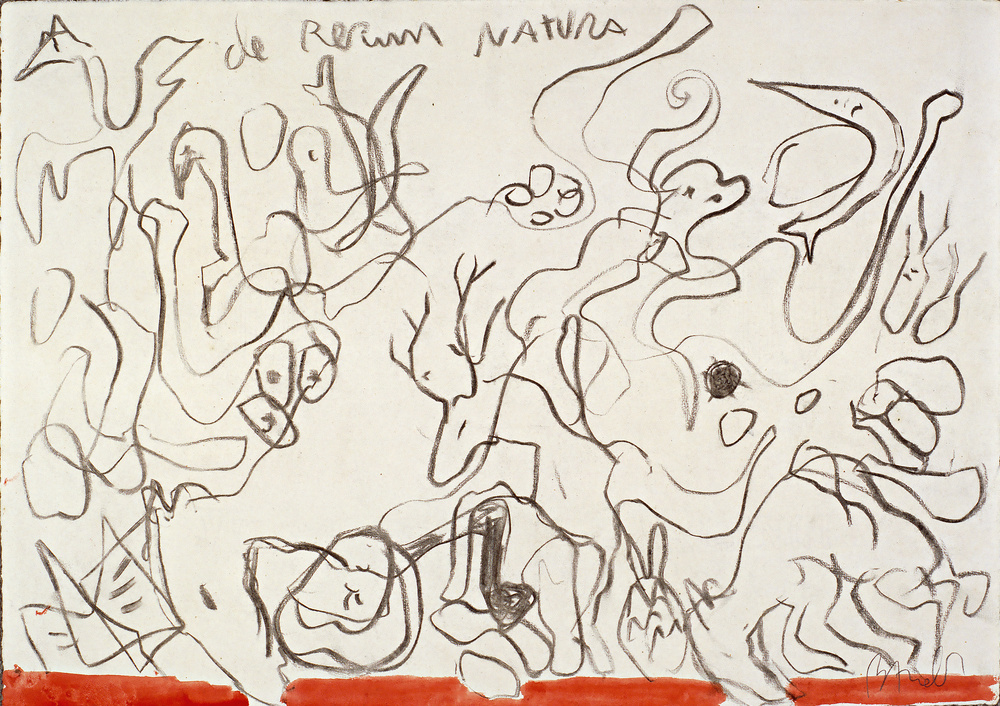 De rerum natura, Miquel Barceló, 1982