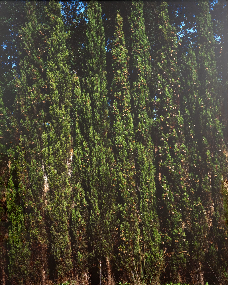 Tableau n°103, Jean-Marc Bustamante, 1990