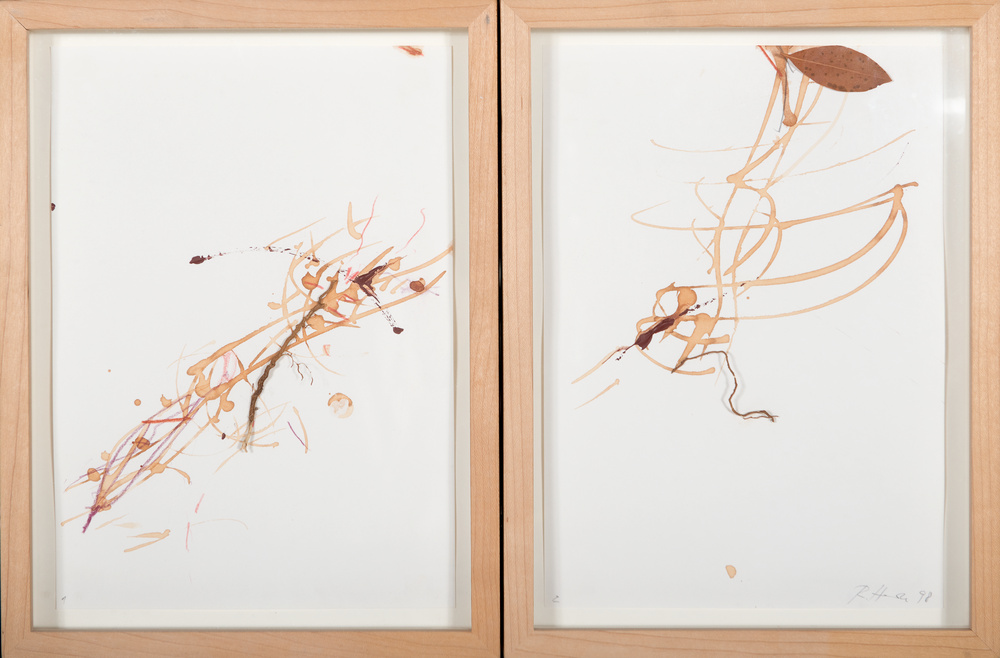 Entre les racines de l'arbre, Rebecca Horn, 1998