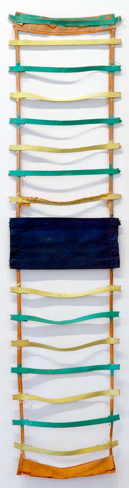 Echelle, Claude Viallat, 1988