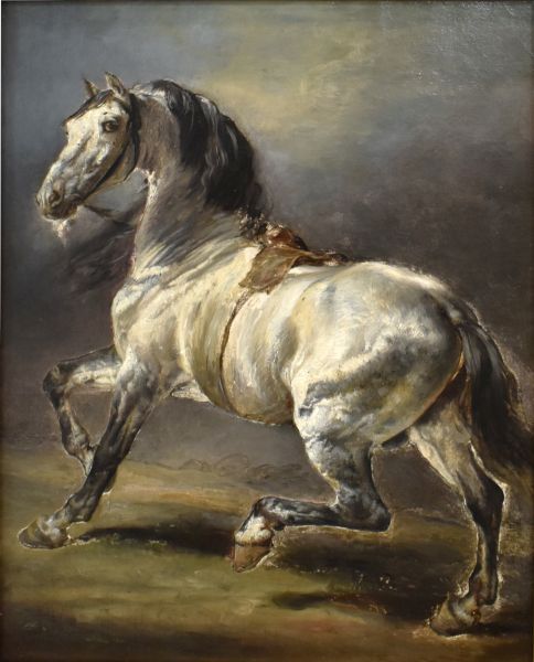 Étude de cheval gris_0