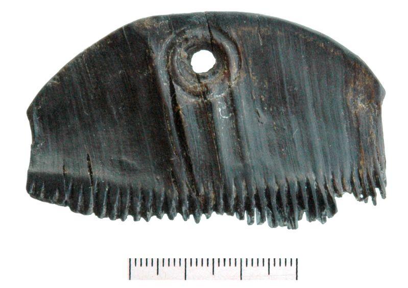 Peigne_0