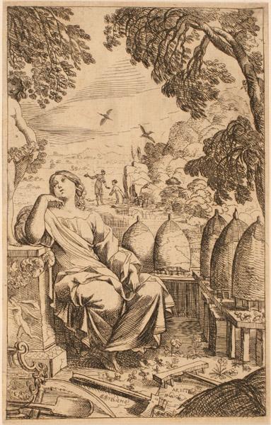 Les Métamorphoses d'Ovide : Aristée_0