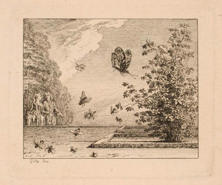 La rose et le papillon_0