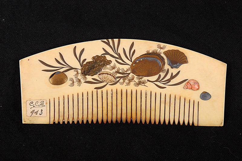 Peigne orné de coquillages et d'algues_0