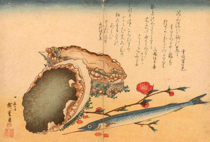 Série des grands poissons. Ormeau, scombrésoce et pêche_0