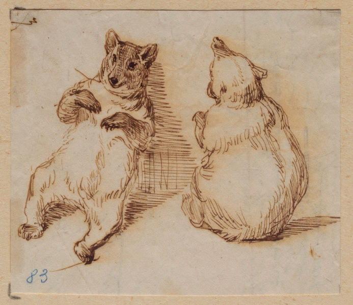 Deux oursons, face et dos, Grandville, 1847 avant