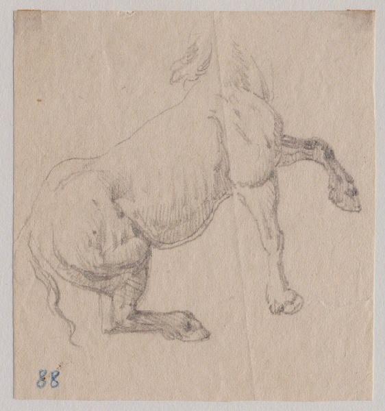 Cheval levant une patte_0