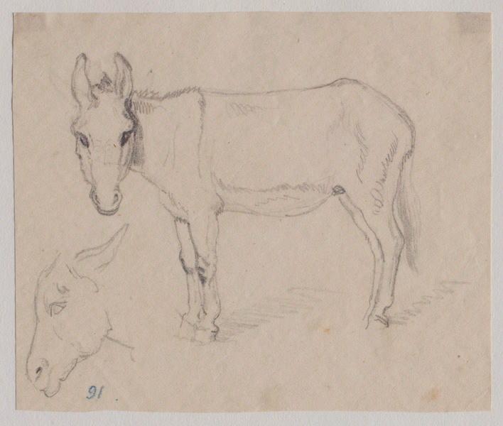 Un âne et détail de la tête de profil, Grandville, 1847 avant