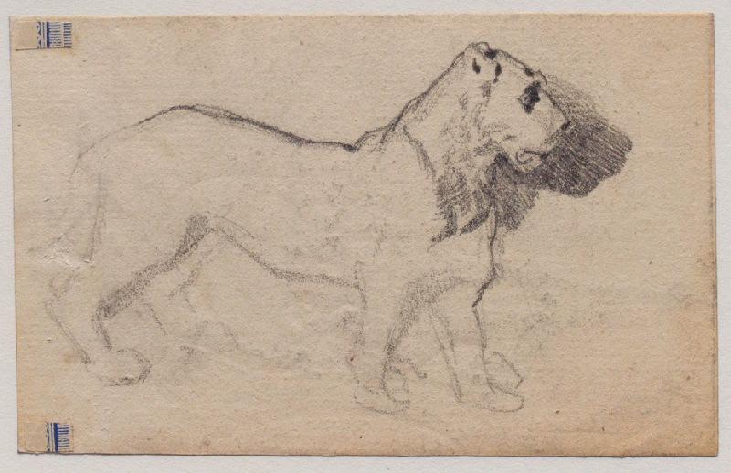 Un fauve, Grandville, 1847 avant