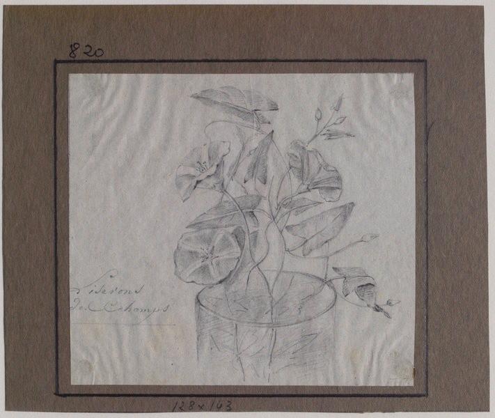 Liserons des champs, Grandville, 1825