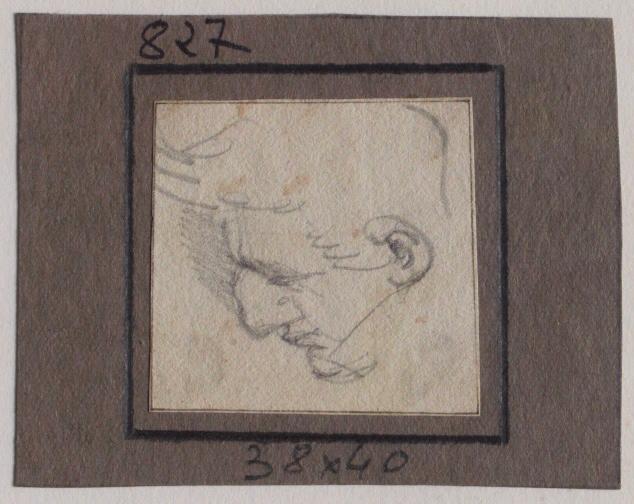 Tête d'homme penché de profil, Grandville, 1825