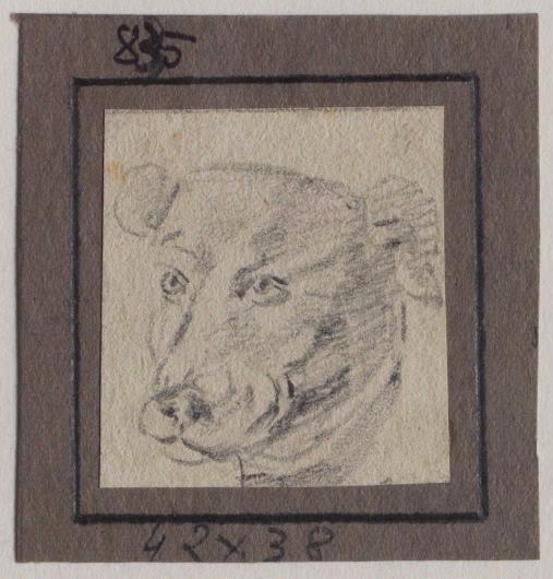 Tête de veau-homme, Grandville, 1825