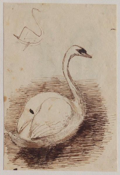 Un cygne, Grandville, 1847