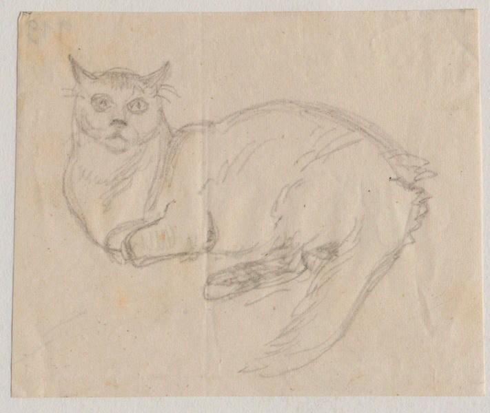 Chat allongé de profil, Grandville, 1847