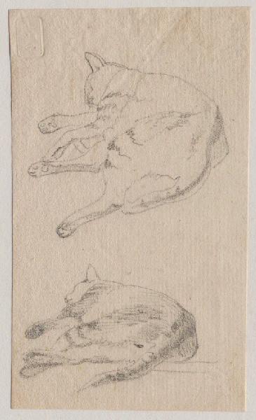 Chats dormant allongés, Grandville, 1847