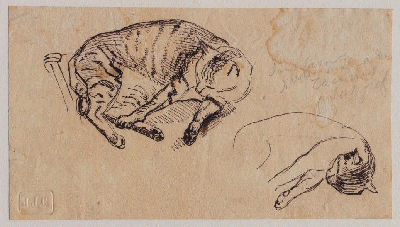 Chats dormant allongés, Grandville, 1847
