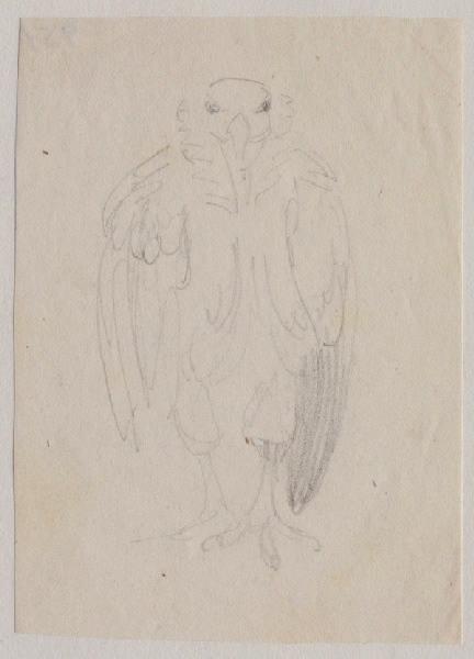Un vautour de face, Grandville, 1847