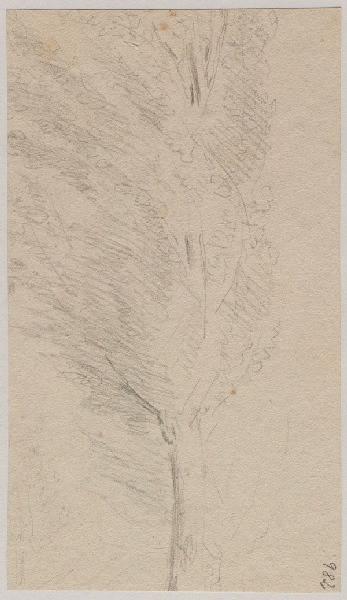 Arbre, Grandville, 1847
