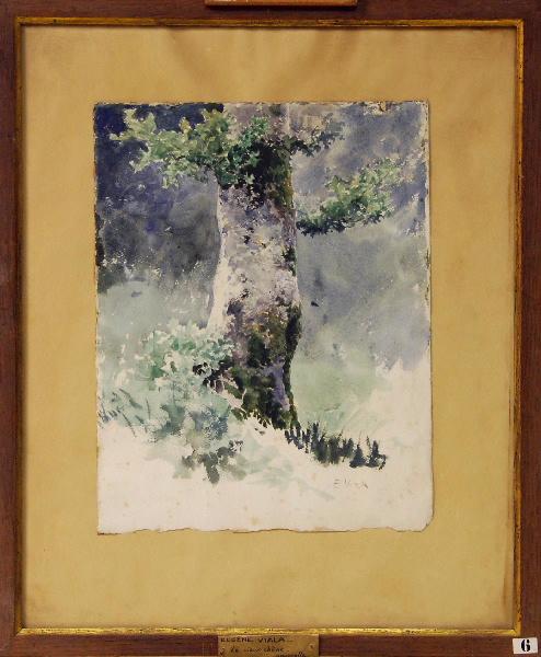 Le Vieux Chêne, Eugène Viala, 4e quart 19e siècle, 1er quart 20e siècle