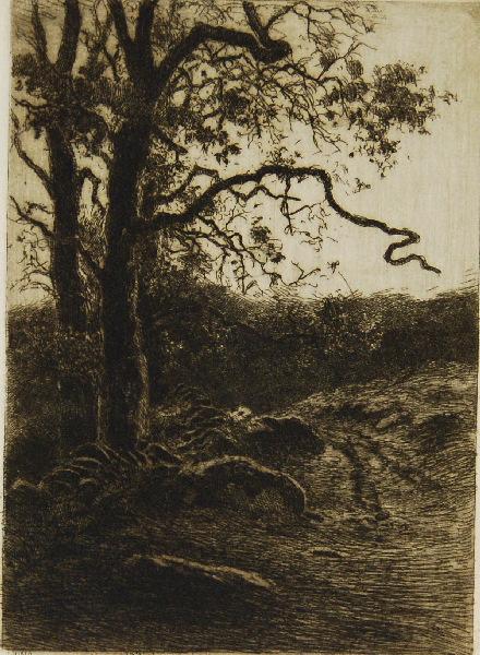Les Gestes de la Terre (15) : Chemin de lisière_0