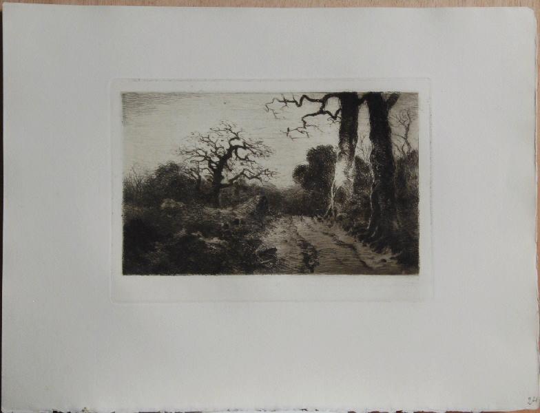 Les Gestes de la Terre (24) : En forêt_0