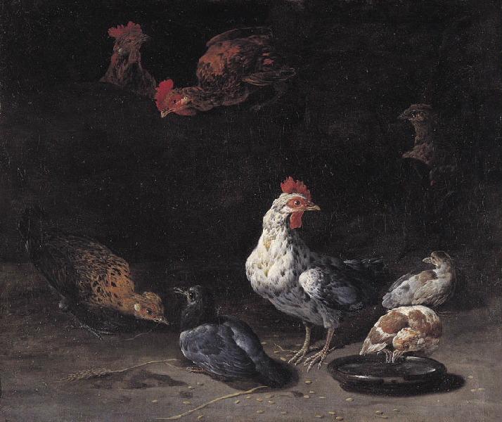 Le poulailler_0