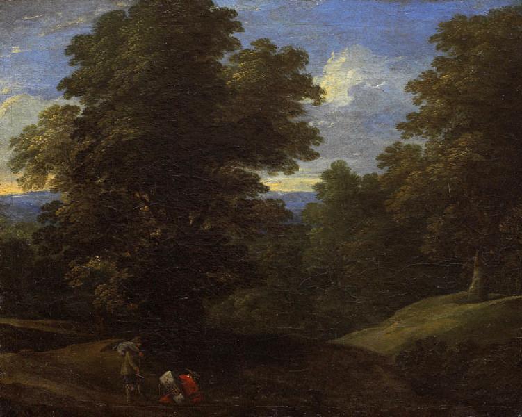 Lisière de forêt_0