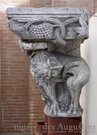 Lions mordant des lianes_0