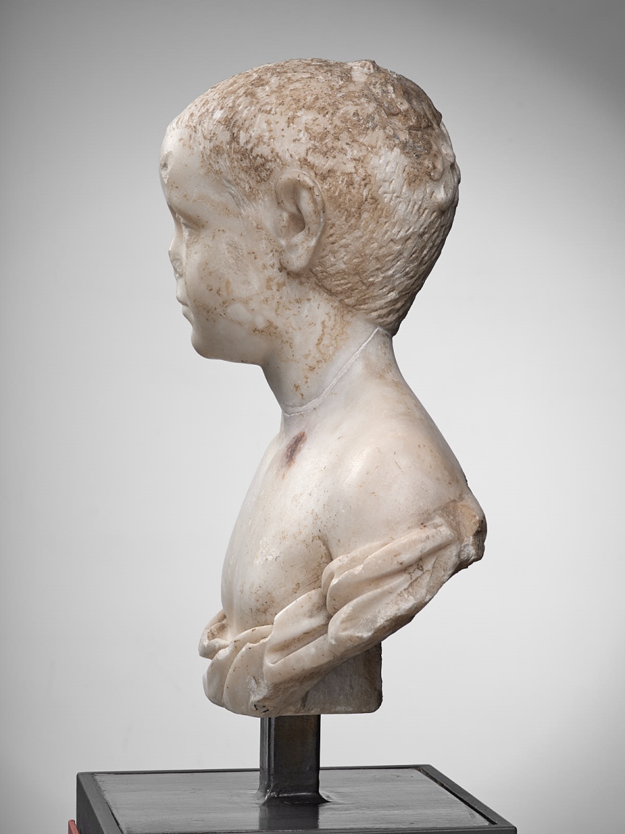 Buste d'un jeune garçon ; Portrait d'un jeune garçon_2