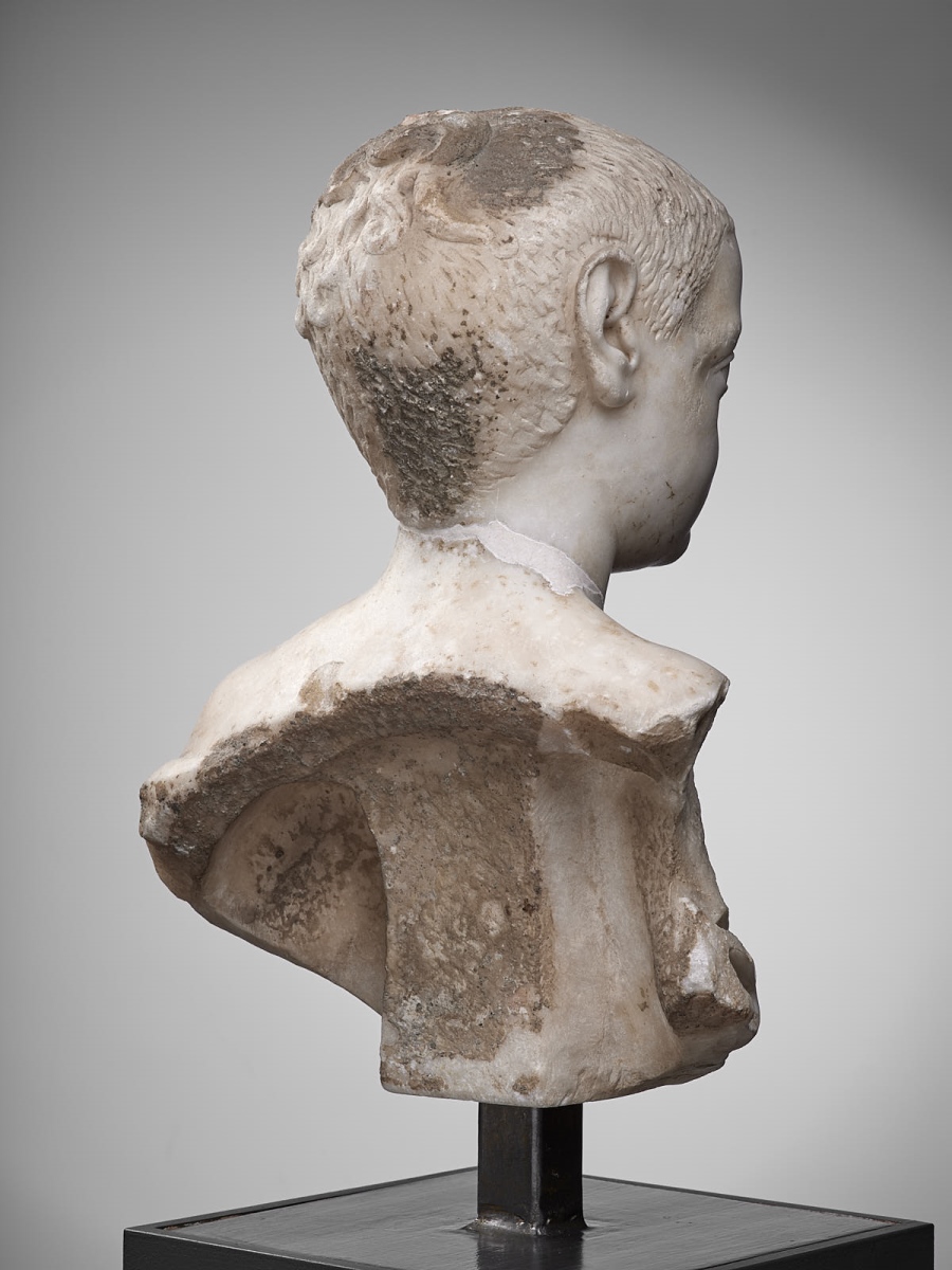 Buste d'un jeune garçon ; Portrait d'un jeune garçon_5