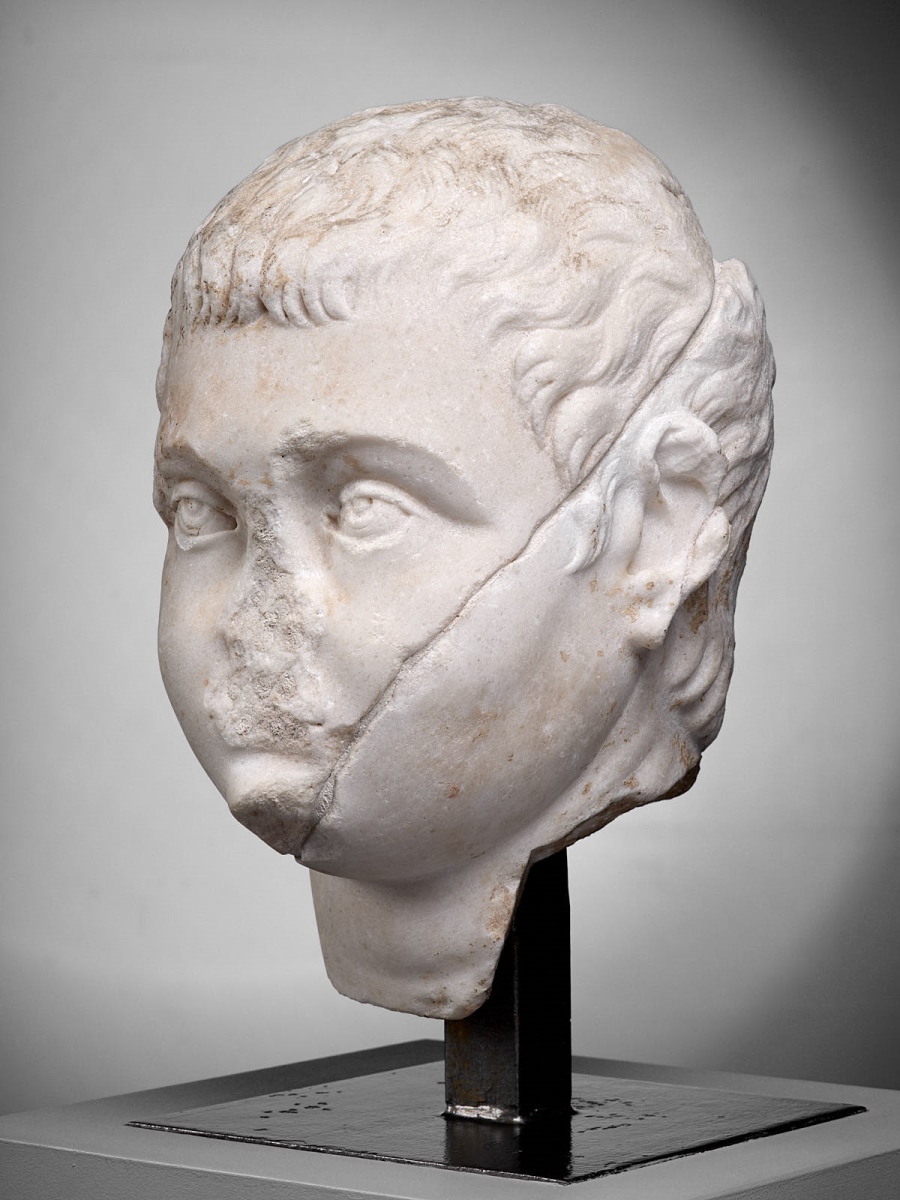 Tête juvénile de Maxence (?)_1