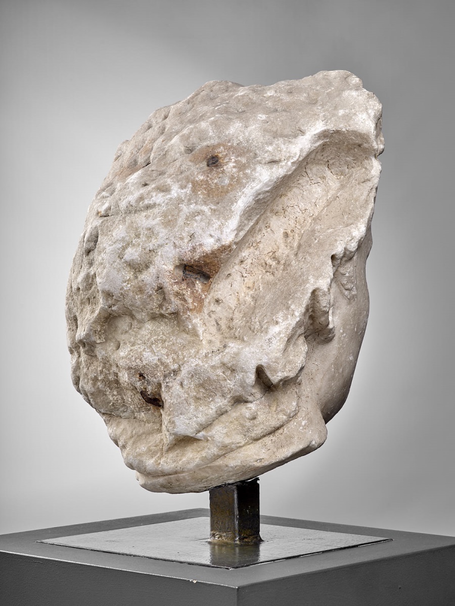 Tête de Tibère, couronné de chêne_5