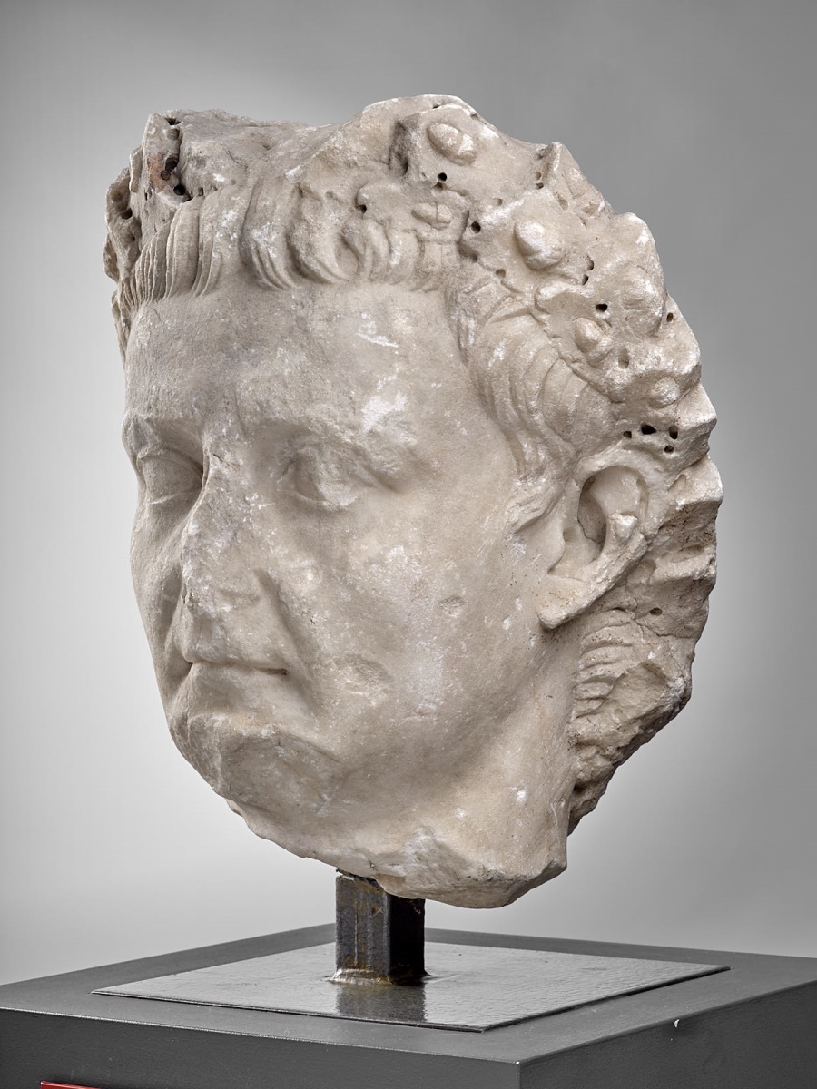 Tête de Tibère, couronné de chêne_1