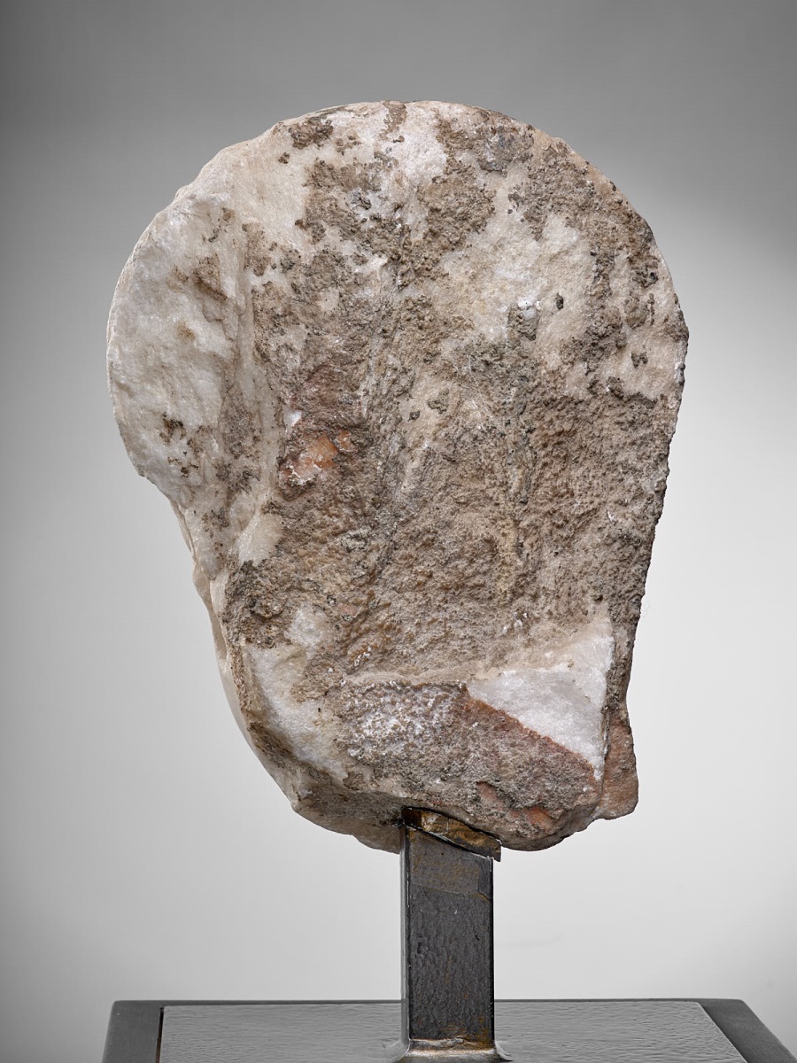 Tête d’adolescent (Tiberius Gemellus ?)_4