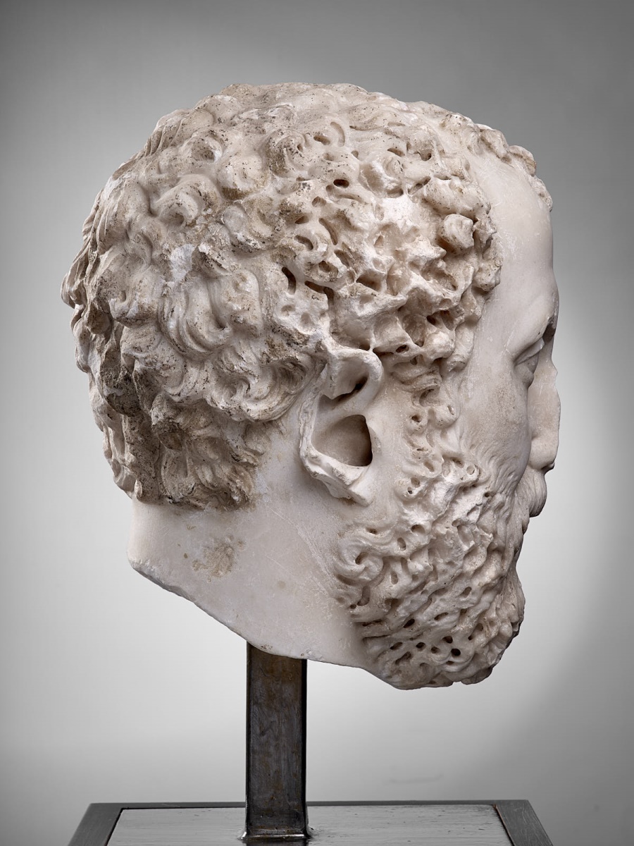 Tête d'inconnu ; Portrait d'un inconnu_6