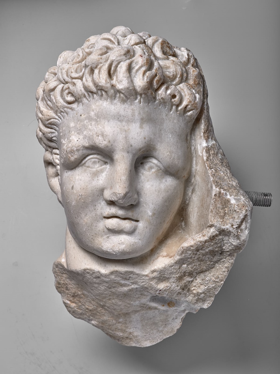 Tête nue d'Hercule_1