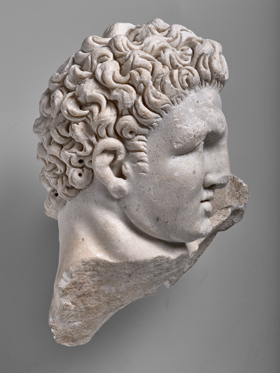 Tête nue d'Hercule_0