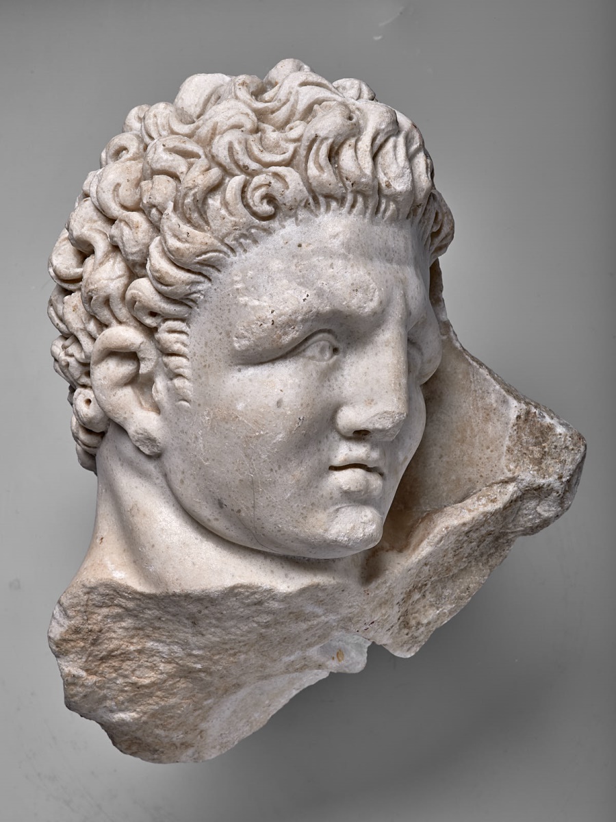 Tête nue d'Hercule_2
