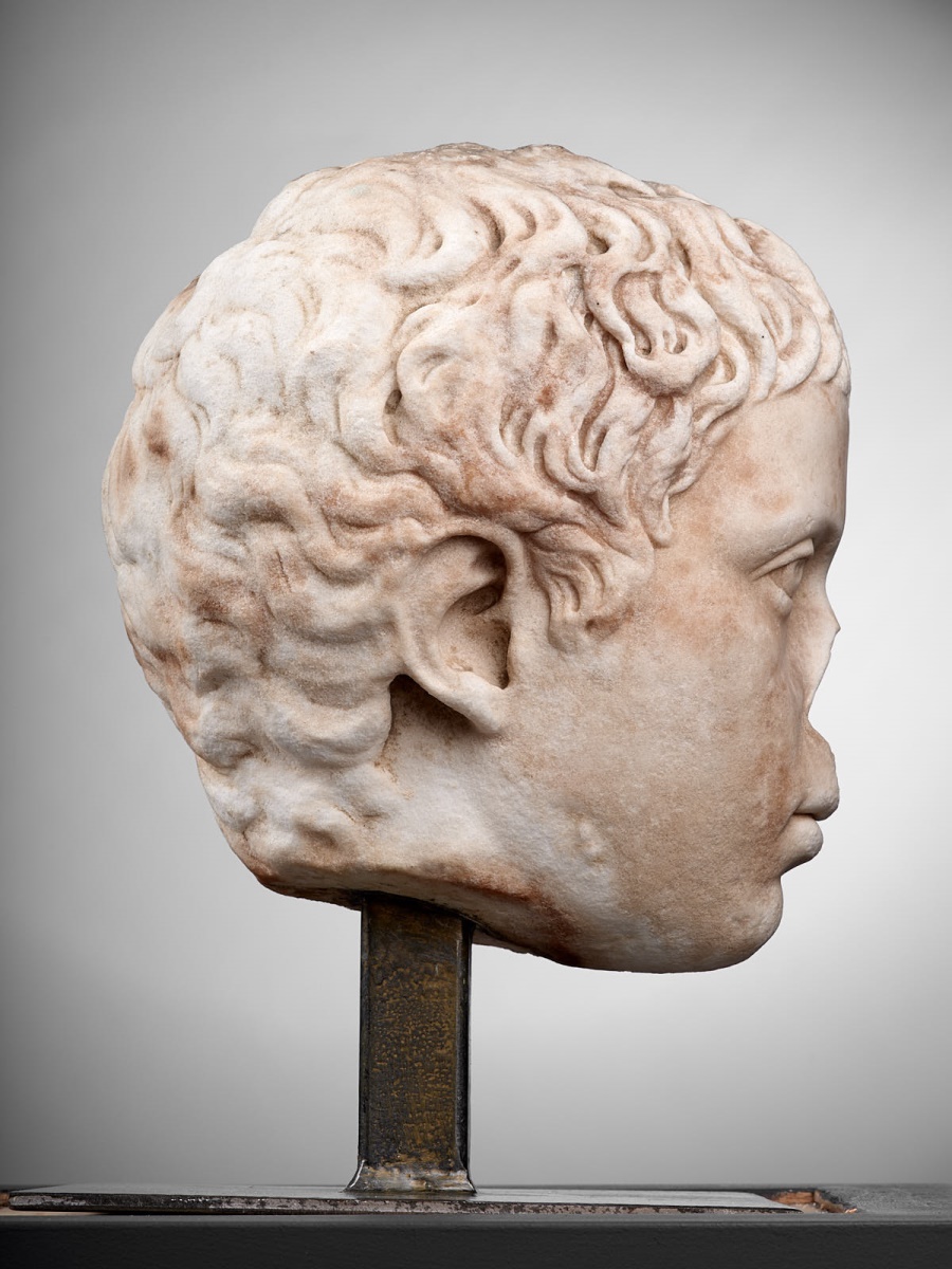 Tête de jeune garçon (C. Fulvius Plautus Hortensianus ?) ; Portrait de Pertinax César (?) (ancienne désignation)_6