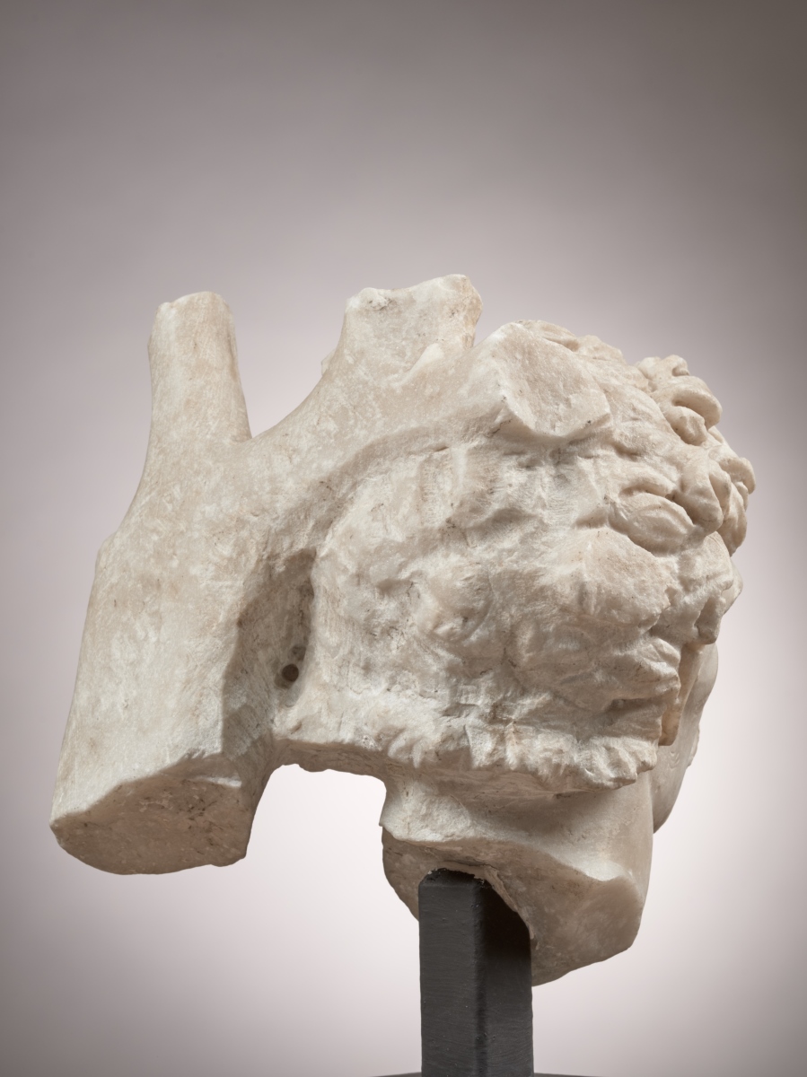 Tête de Barbare galate_3