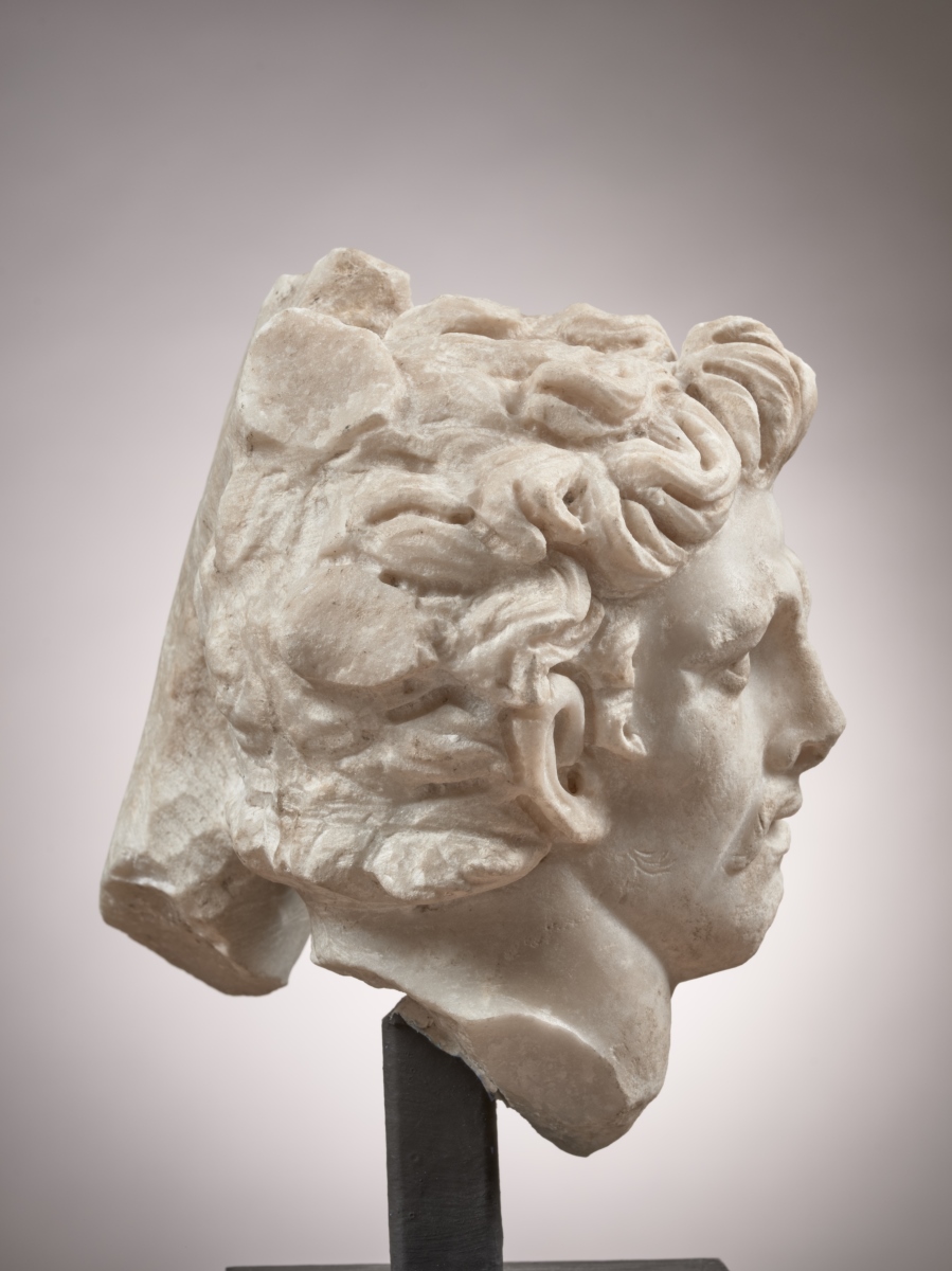 Tête de Barbare galate_2