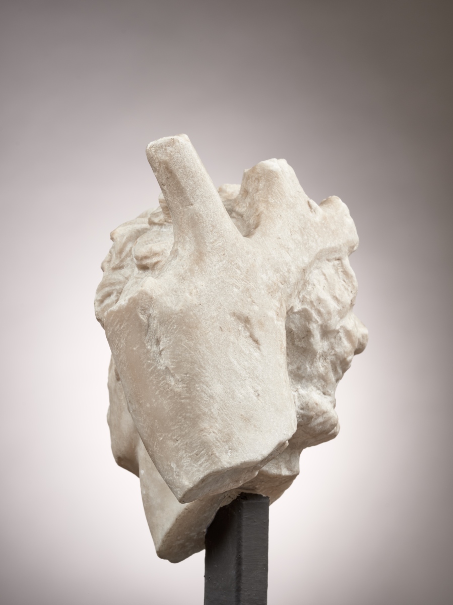 Tête de Barbare galate_5