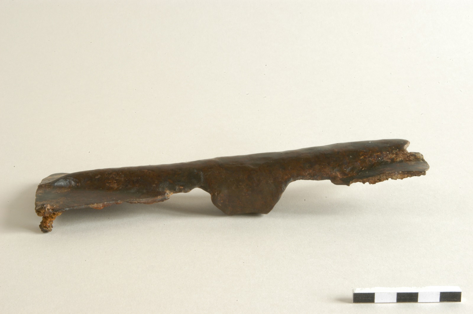 Manipule, bouclier_2